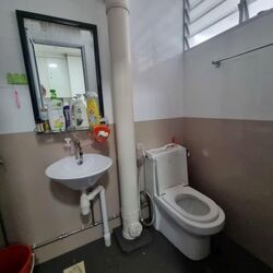 Blk 860B Tampines Avenue 5 (Tampines), HDB 4 Rooms #543436031